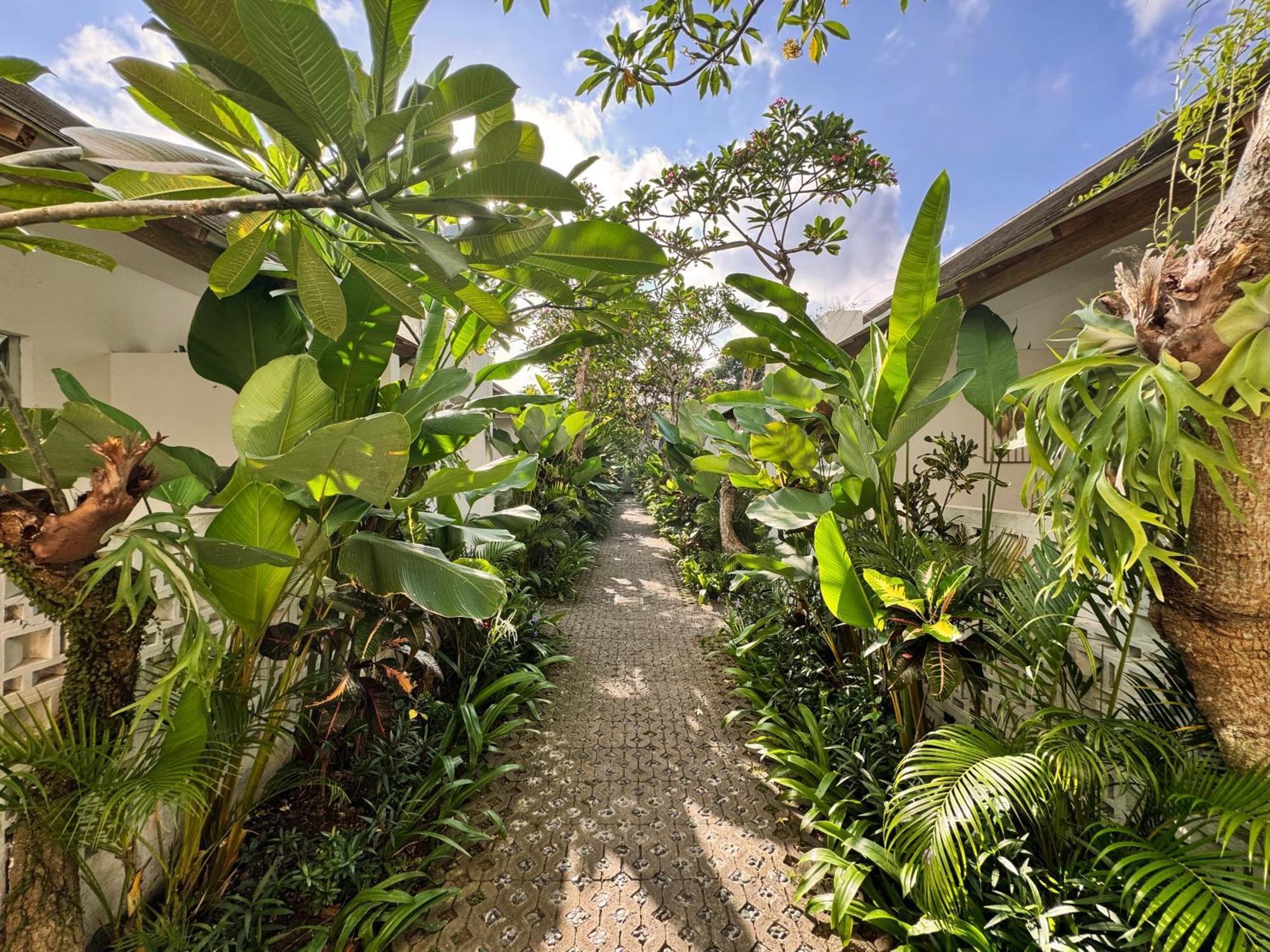 Lubdhaka Canggu Exterior photo